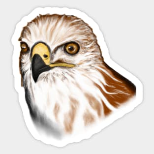 Cute Hawk Drawing Sticker